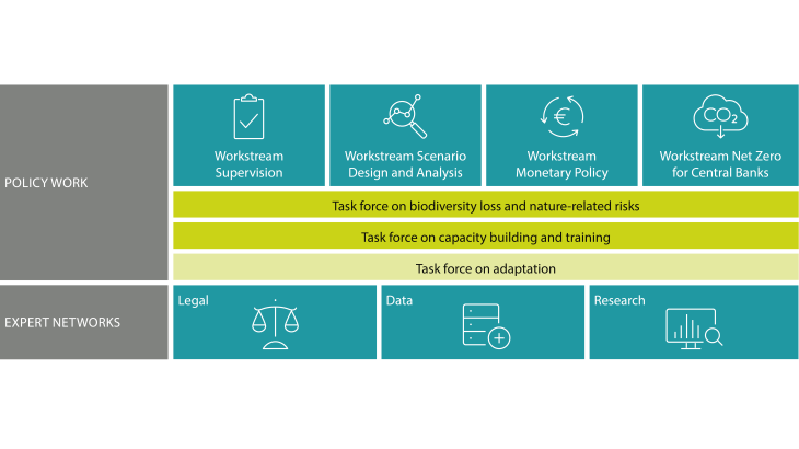NGFS working organization