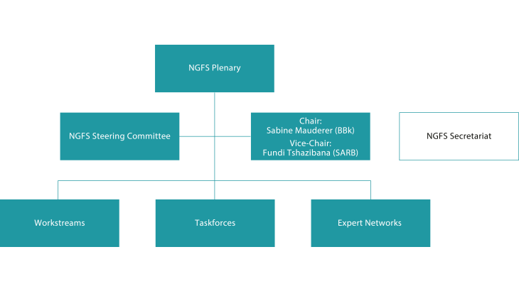 NGFS Governance Structure
