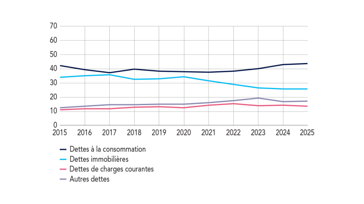 Part des grandes catégories de dettes dans l’endettement global des ménages surendettés (en %)