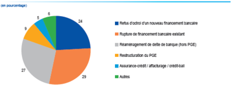 Répartition des problématiques rencontrées dans les dossiers éligibles - 2026