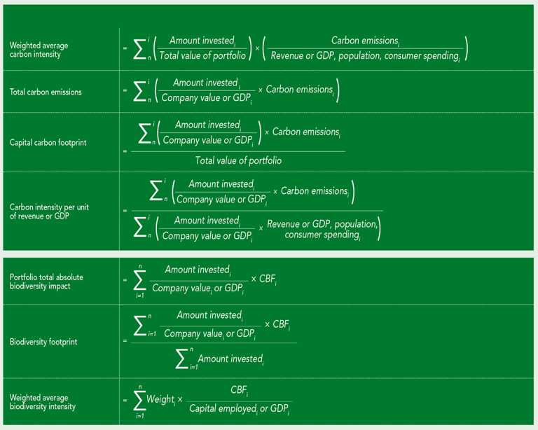 2025 Sustainability Report CC